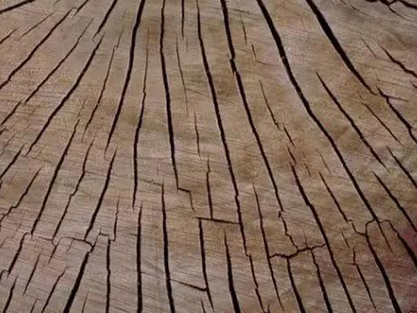 浙江防止菠萝格木材板材开裂，八个方法